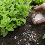 Lợi ích phân bón lá