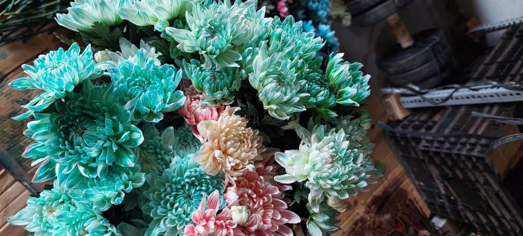 Kinh doanh hoa nhuộm