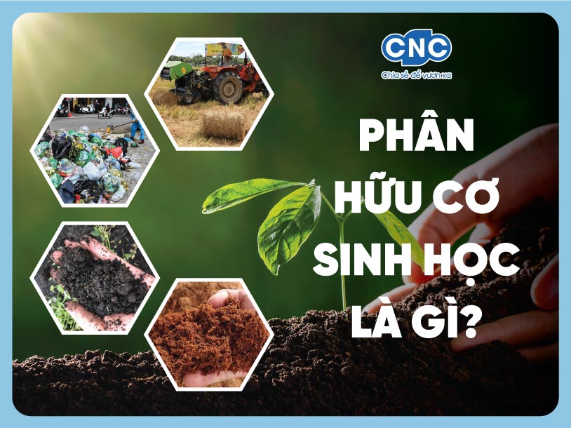 Phân hữu cơ sinh học là gì ?