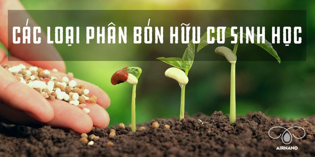 Các loại phân hữu cơ sinh học