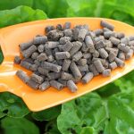 Lợi ích của phân nở