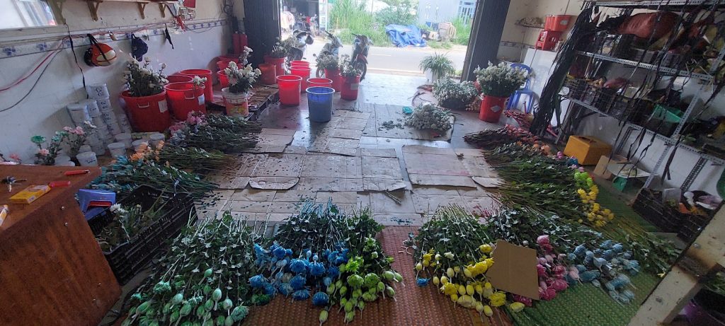 kinh doanh hoa nhuộm