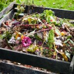 Cách làm phân bón từ thức ăn thừa