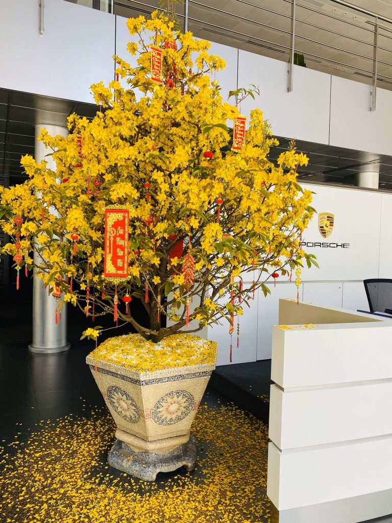 Mua thêm hoa mai giả, cắm vào cây thật để thêm rực rỡ