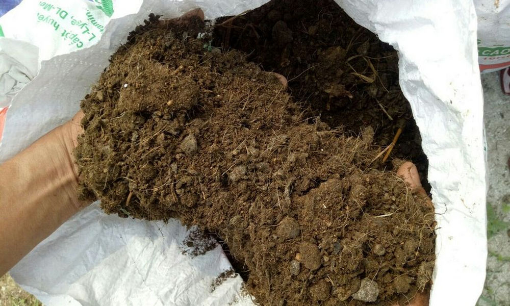 Sử dụng phân chuồng giúp làm tơi xốp đất trồng