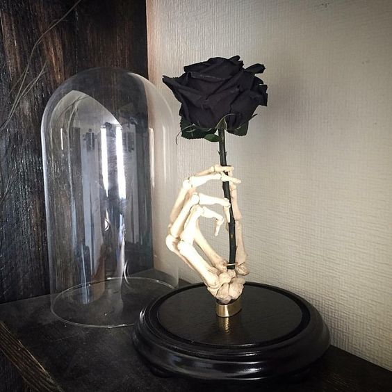 Vẻ đẹp và ý nghĩa hoa hồng đen