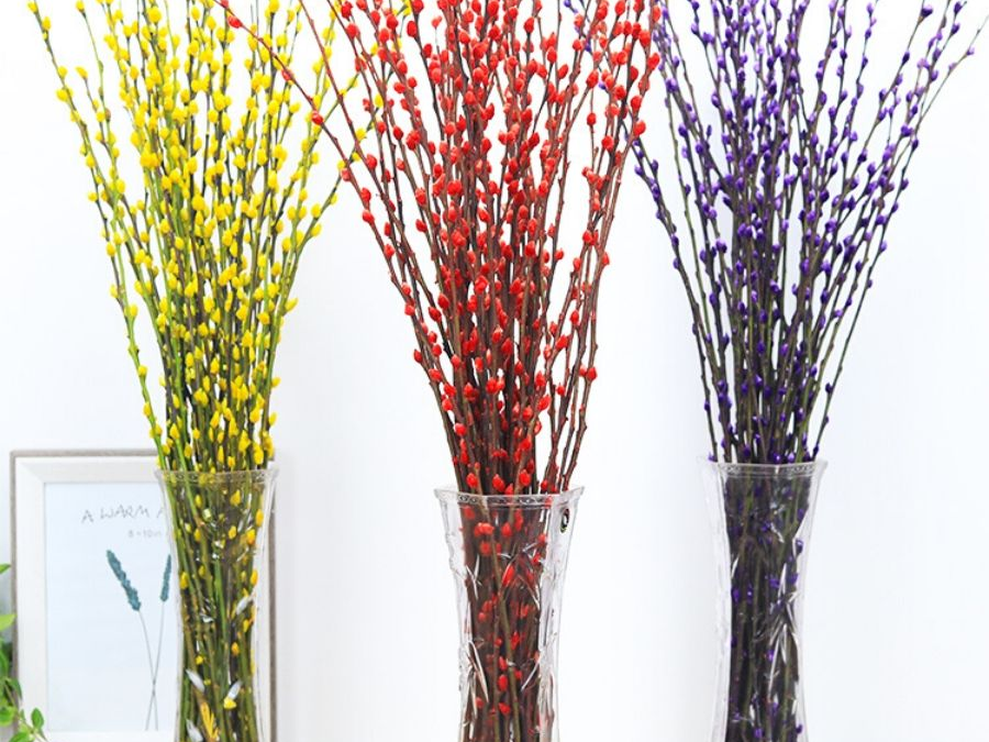 Hoa nụ tầm xuân đã nhuộm khô tự nhiên trong không khí