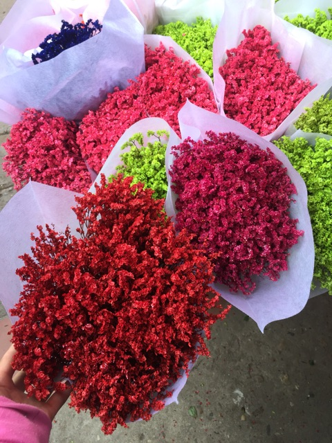 Nhuộm màu hoa baby