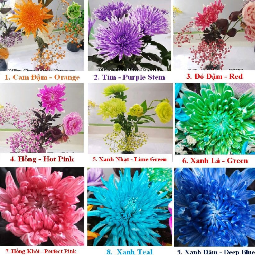 Các màu nhuộm hoa được ưa chuộng