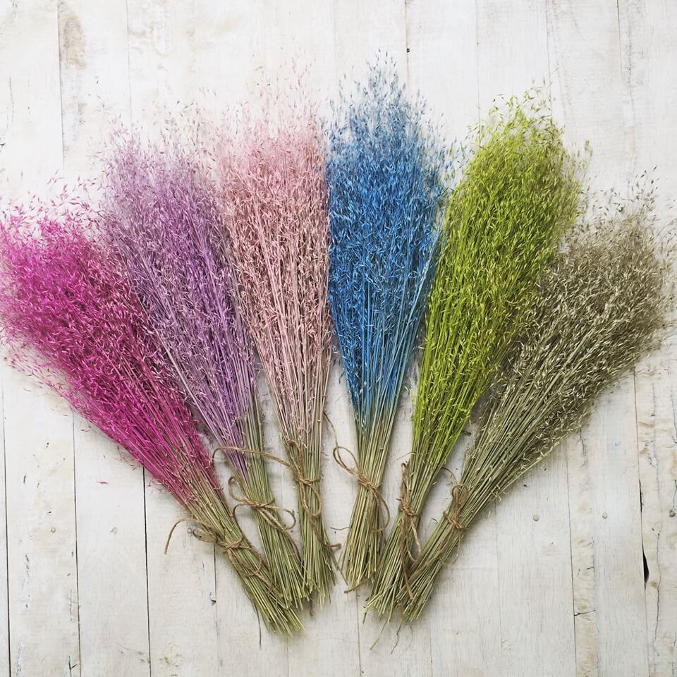 Màu sắc đa dạng, dễ nhuộm