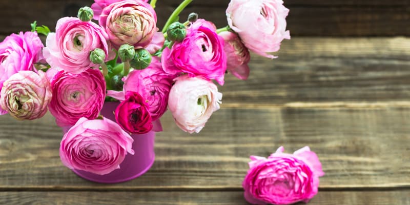 Bình hoa mao lương đẹp mắt