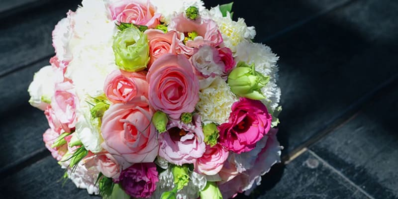 Bó cát tường gửi tới người yêu thương