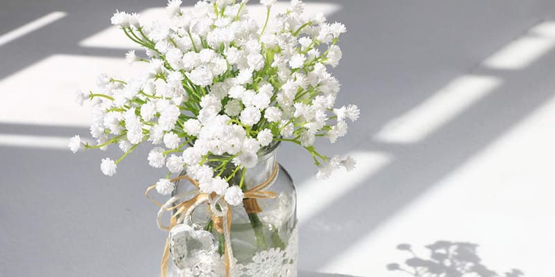 Hoa baby rất thích hợp dùng trong trang trí