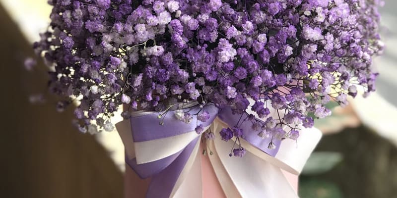 Hoa chấm bi màu tím thủy chung