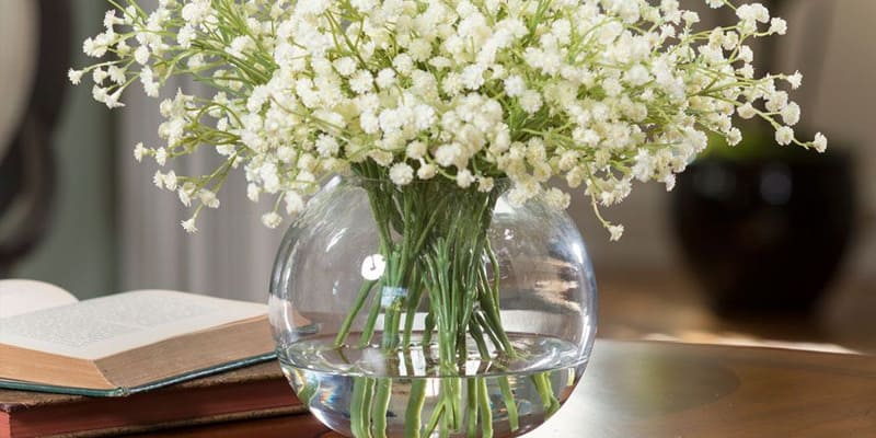 Lọ hoa chấm bi ấn tượng trên bàn làm việc