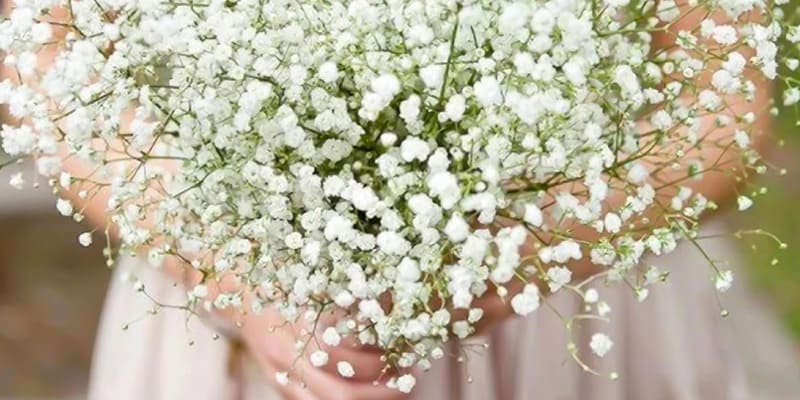 Tạo hình hoa baby ấn tượng trong ngày cưới