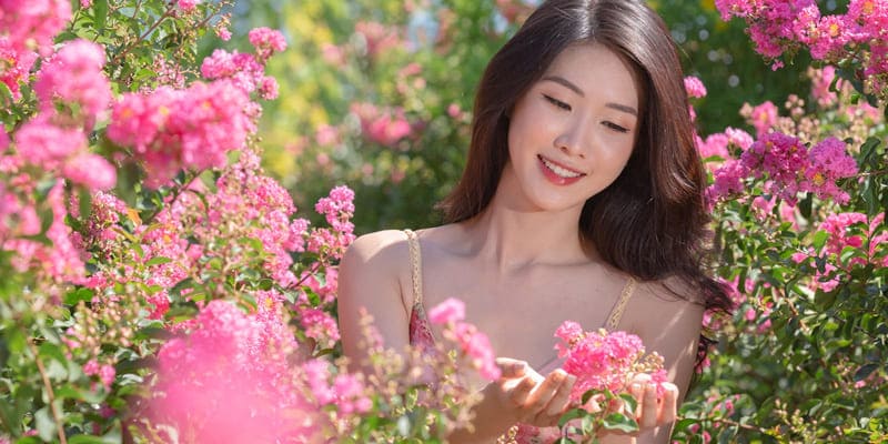 Thiếu nữ bên cây tường vi