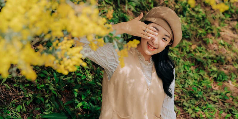 Bông Mimosa với vẻ đẹp rực rỡ