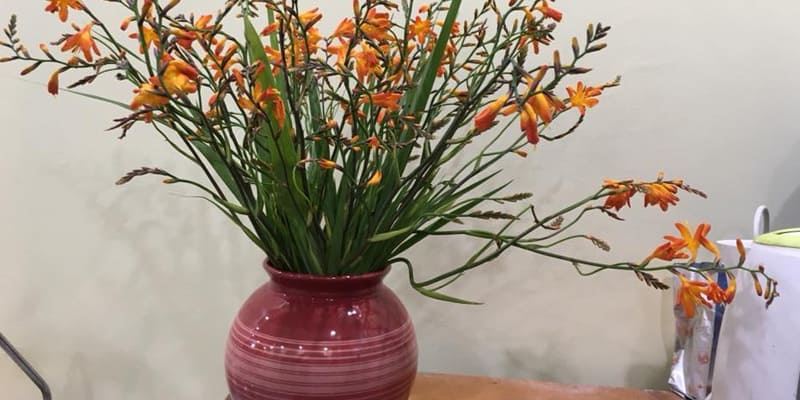 Dơn lúa cắm bình ấn tượng