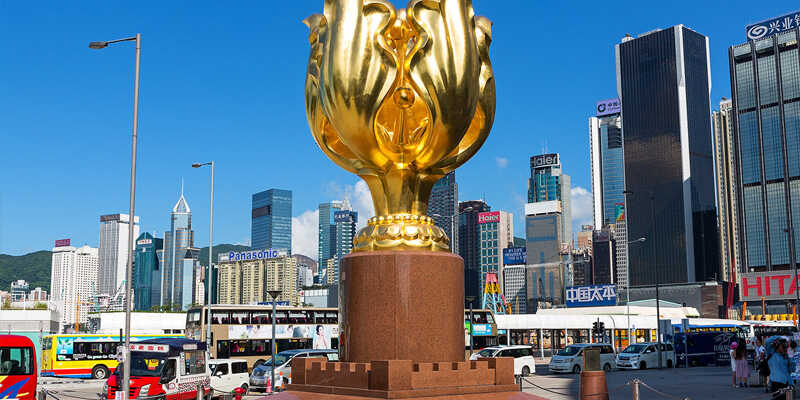 Hoa dương tử kinh là quốc hoa của đất nước Hồng Kông