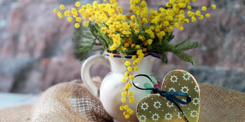 Loài hoa keo lá tròn chưng bình đẹp mắt