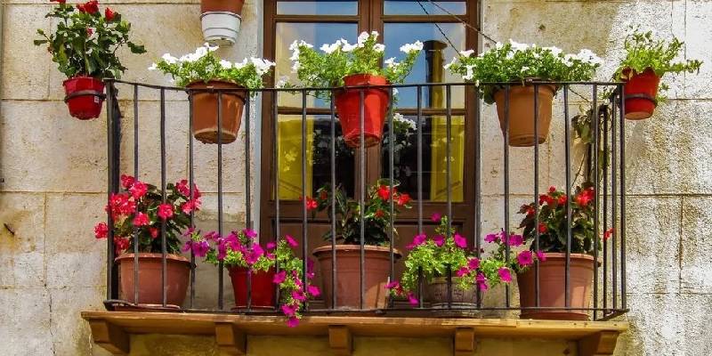 Lợi ích của ban công nhỏ đến mấy cũng nên trồng