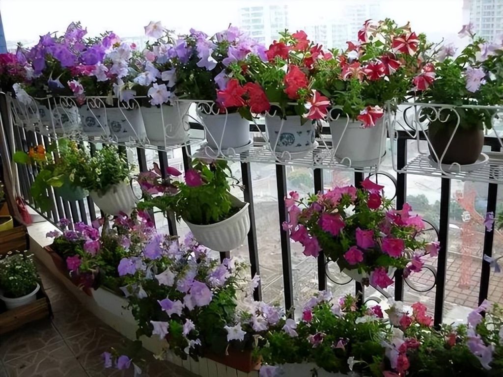 Ban Công Nhỏ Đến Mấy Cũng Nên Trồng Hoa