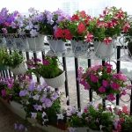 Ban Công Nhỏ Đến Mấy Cũng Nên Trồng Hoa