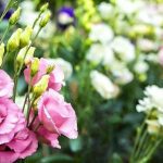 Top hoa chúc mừng ngày doanh nhân Việt Nam - Hoa cát tường