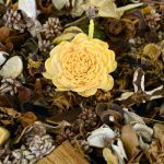 Top-hoa-kho-dep-nhat-anh-dai-dien