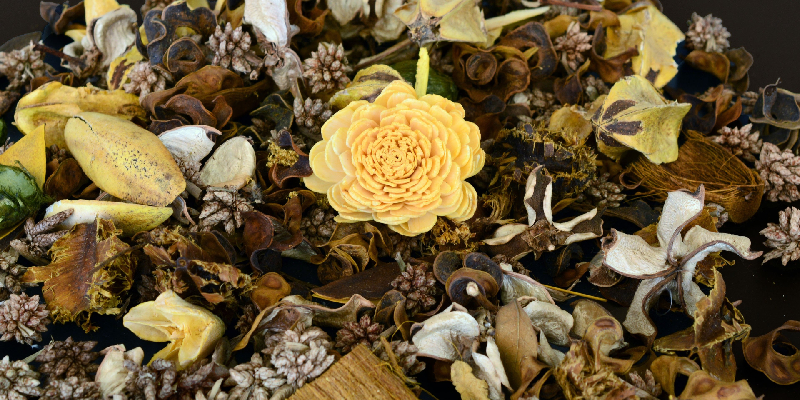 Top-hoa-kho-dep-nhat-anh-dai-dien