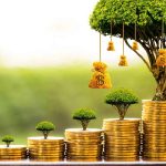 hoa phát tài phát lộc